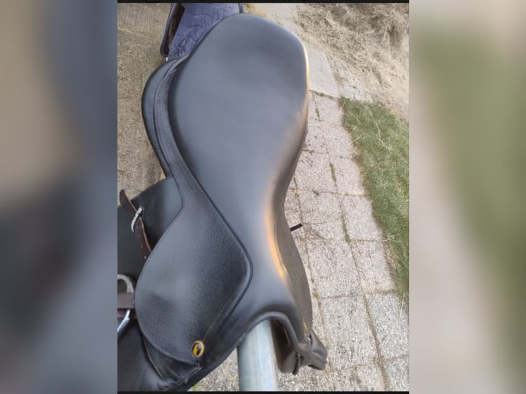 Sella da salto usata pochissimo 