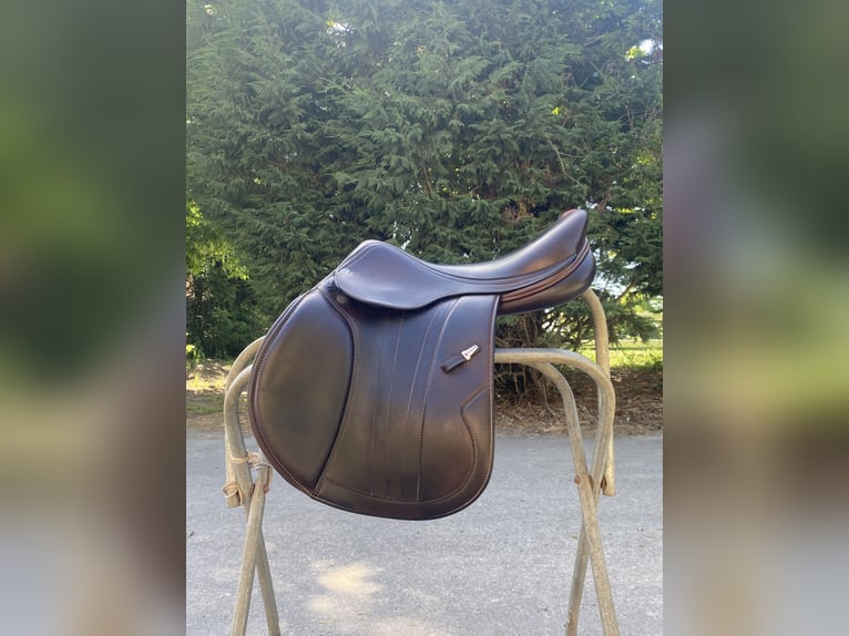 Sella equipe EK Go in carbonio