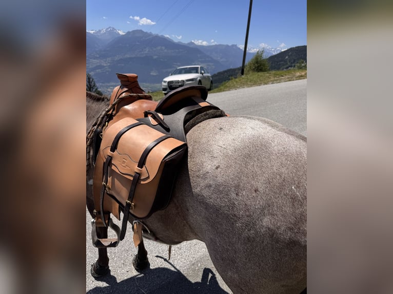 Sella da trekking di alta gamma, con bisacce di stile western, come nuova