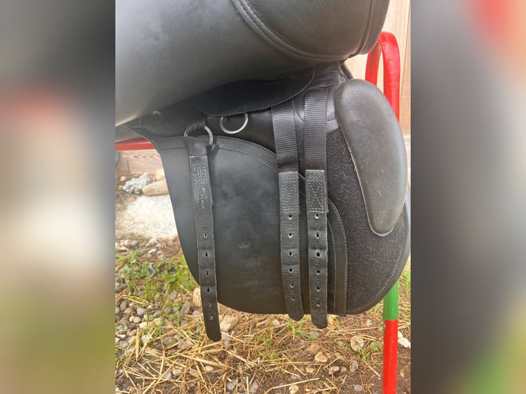 Kent & Masters MGX Vielseitigkeitssattel 17,5“ - sehr guter Zustand, frisch aufgepolstert