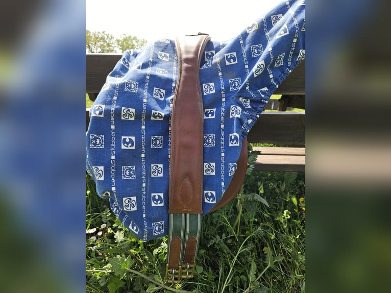 Stubben Siegfried II