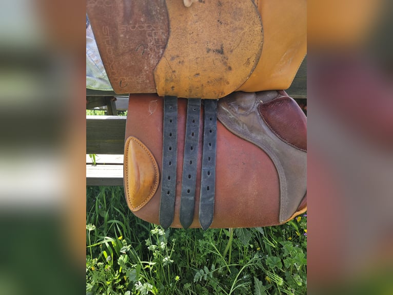 Stubben Siegfried II