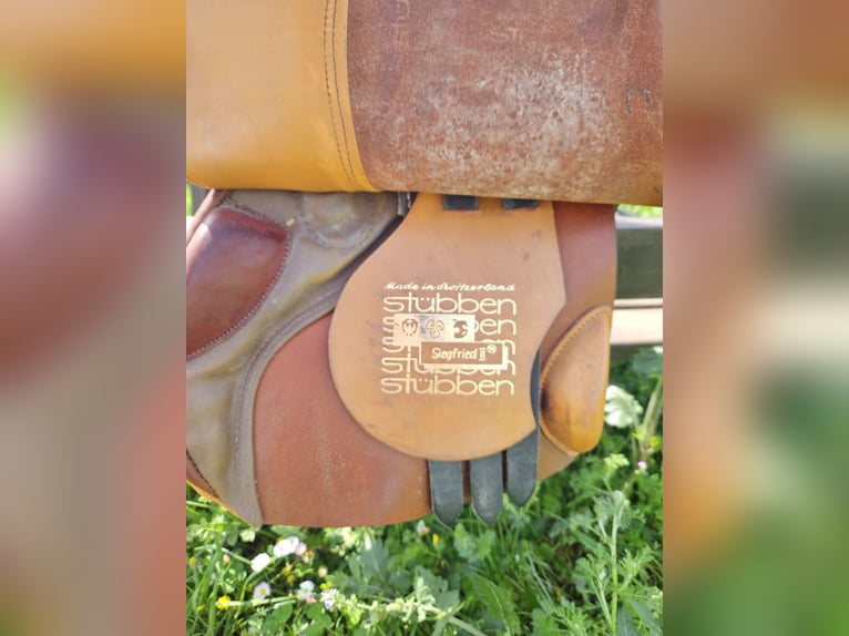 Stubben Siegfried II