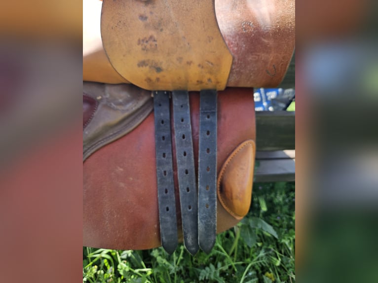 Stubben Siegfried II