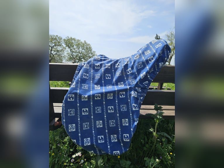 Stubben Siegfried II