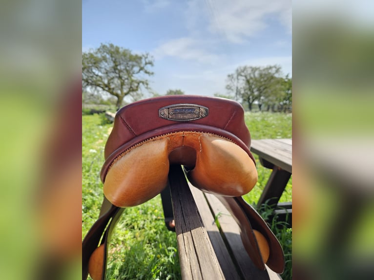 Stubben Siegfried II