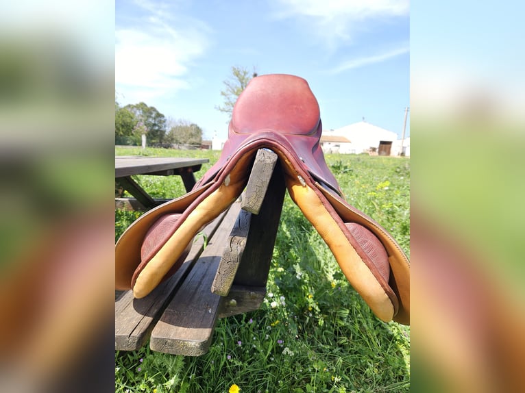 Stubben Siegfried II