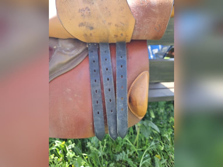 Stubben Siegfried II