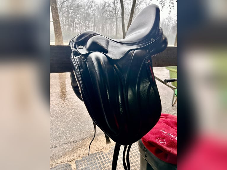 Albion Revelation Dressage Saddle for SALE - Almost New !