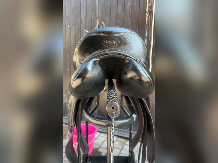 Della Prestige da dressage in vendita