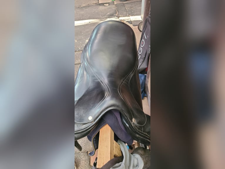 Sella dressage