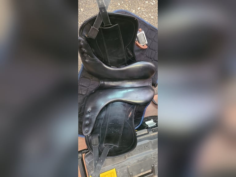 Sella dressage