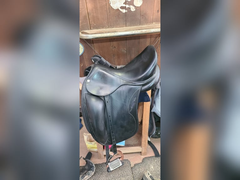 Sella dressage