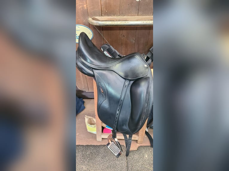 Sella dressage