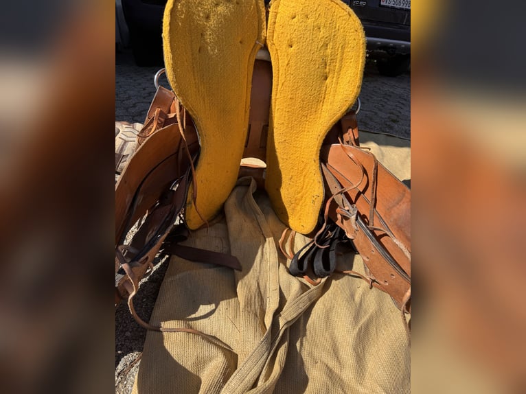 Sella western misura semi-quarter (18 cm di apertura) per il roping. Corno rinforzato.