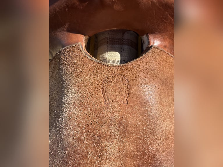Sella western misura semi-quarter (18 cm di apertura) per il roping. Corno rinforzato.
