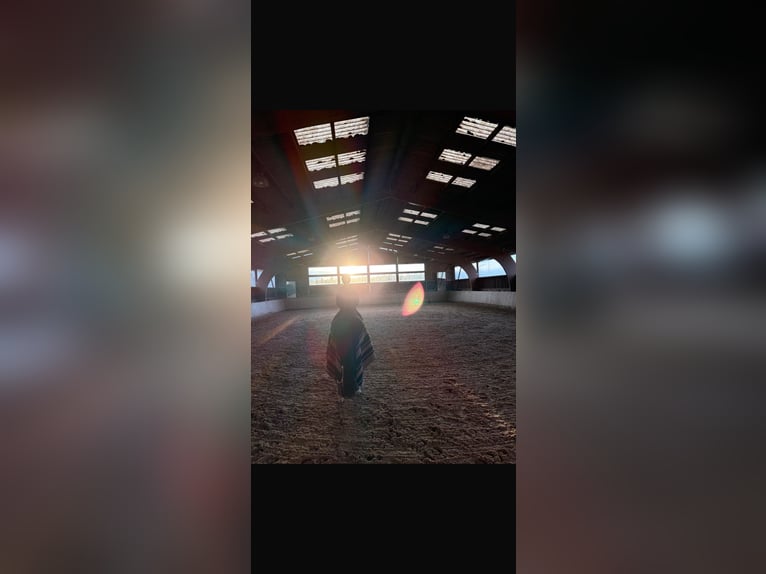 Abbiamo un posto disponibile per il monte libero!