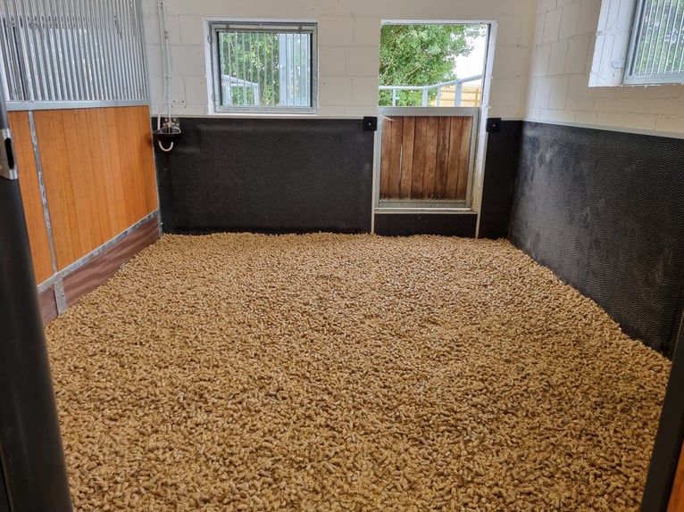 Posti di addestramento disponibili - Addestramento completo presso un centro equestre moderno