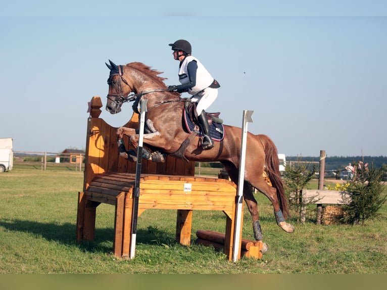Posto disponibile per l’addestramento in sella