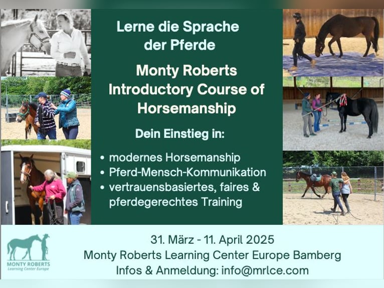 Lerne die Sprache der Pferde: Monty Roberts Introductory Course of Horsemanship