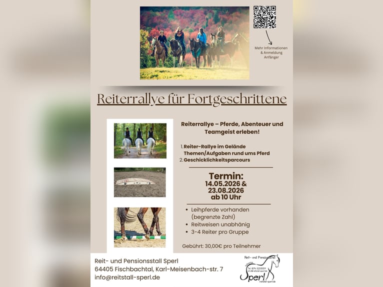 Rallye equestre per giovani e adulti