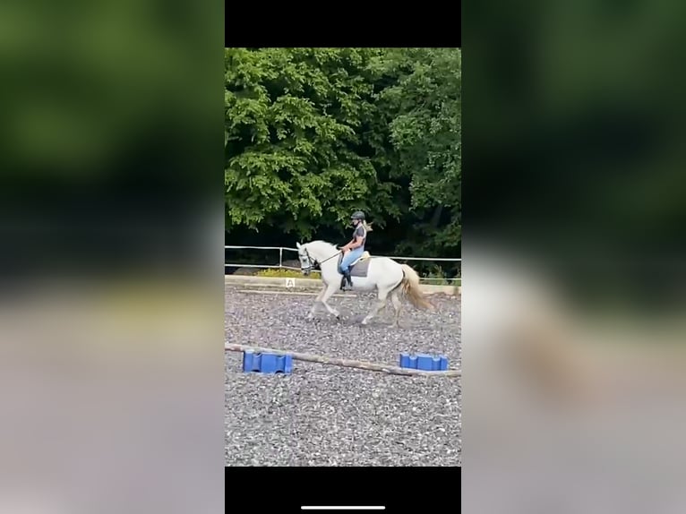 Workshop: Feinfühliges Reiten am 26.04.25 