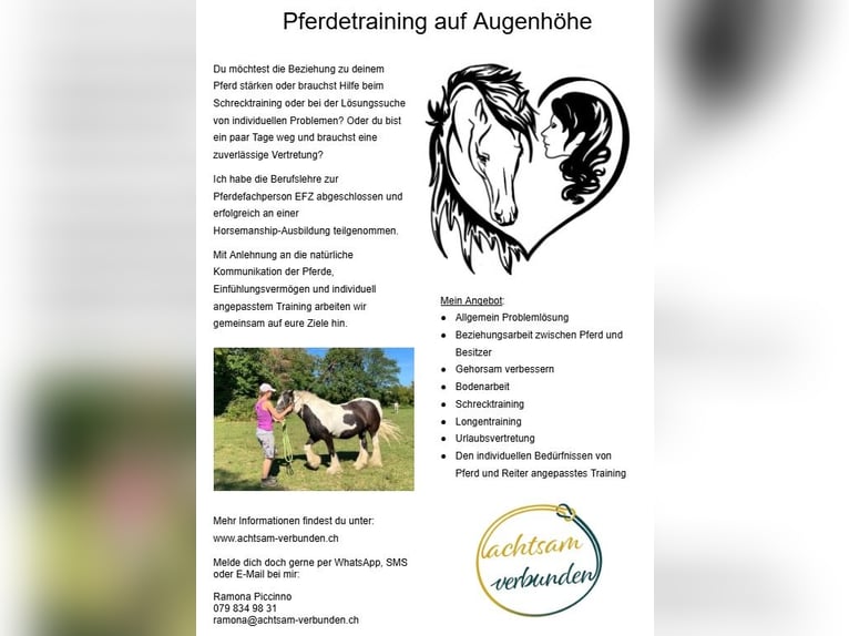 Addestramento di cavalli, lezioni, sostituzione per le vacanze