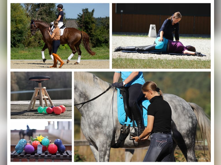 Allenamento di movimento e training di sella secondo Eckart Meyners – l'originale!