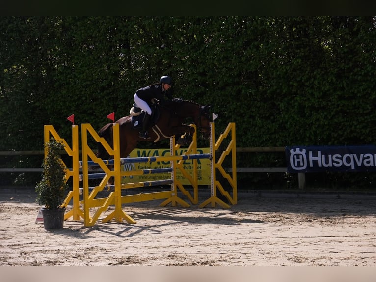 Lezioni a domicilio ‧ Pony riding ‧ Addestramento di cavalli giovani