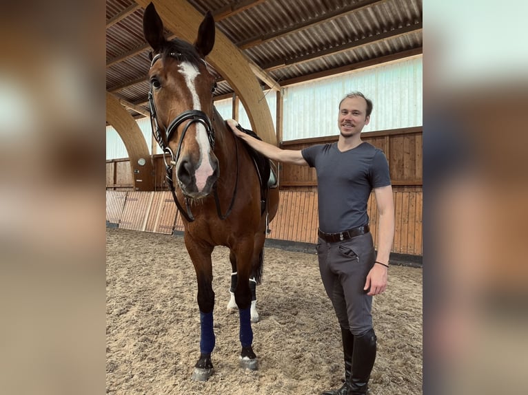 Lezioni di equitazione