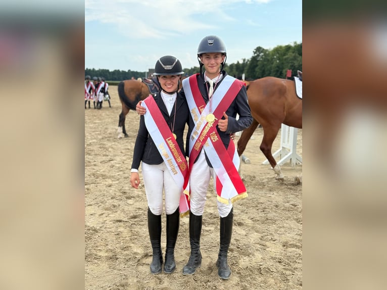 Lezioni di equitazione professionali