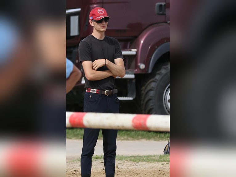 Lezioni di equitazione professionali