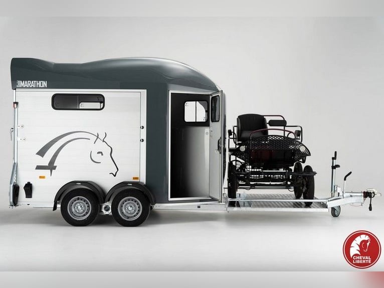 Carrozza per cavalli Liberté Gold Marathon con selleria