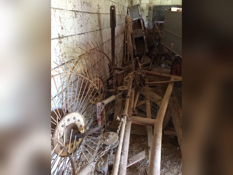 Rotore a stella, funzionante, qualità affidabile