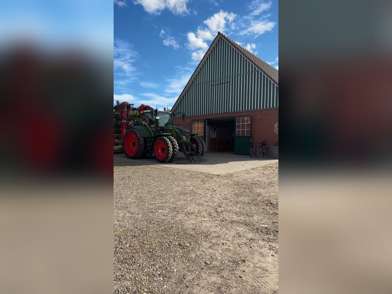 Box available – Full board – Riding facility – Boarding stable