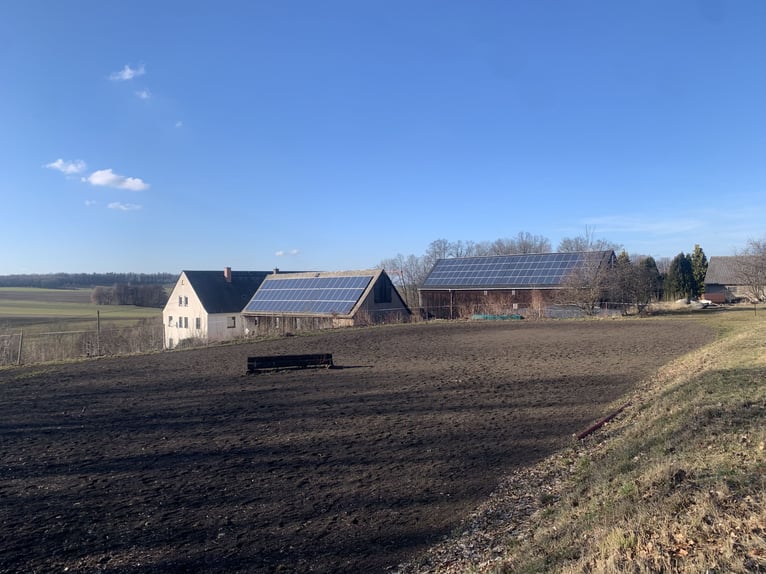 Box disponibili in un'azienda agricola immersa nel verde, in un'area di stalla condivisa e tranquill