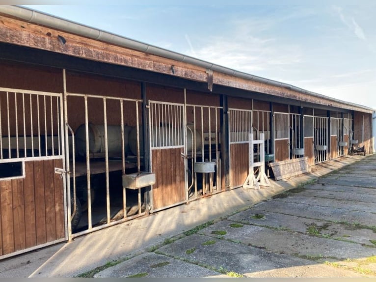 Box libere a partire dal 1° settembre / Nuova apertura