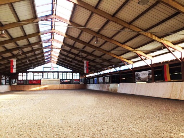 Centro ippico Berlin Nord-Est | Box disponibili