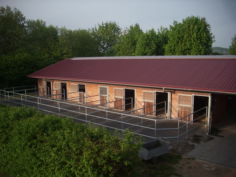 3 Paddockboxen in Verein frei 