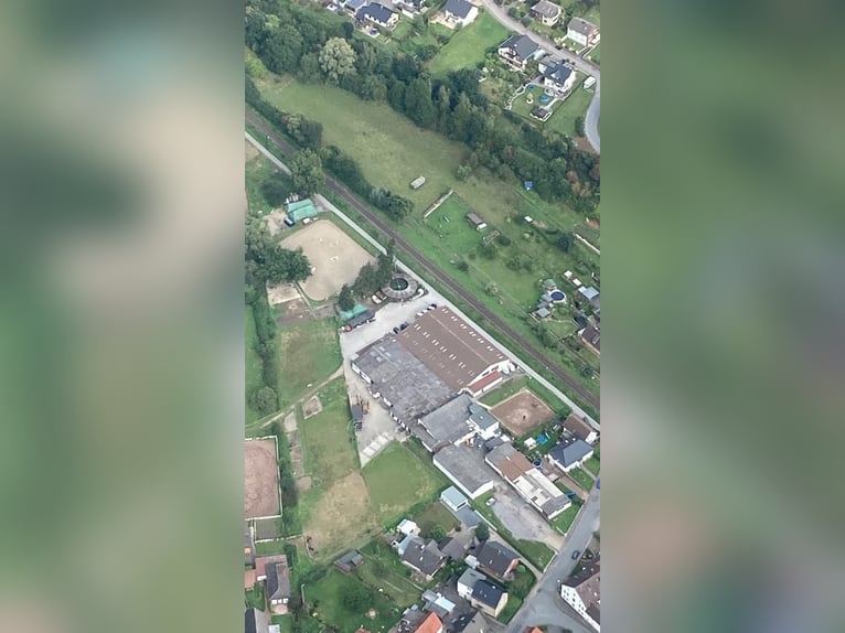Box esterna/paddock disponibile - possibile mantenimento di stallone