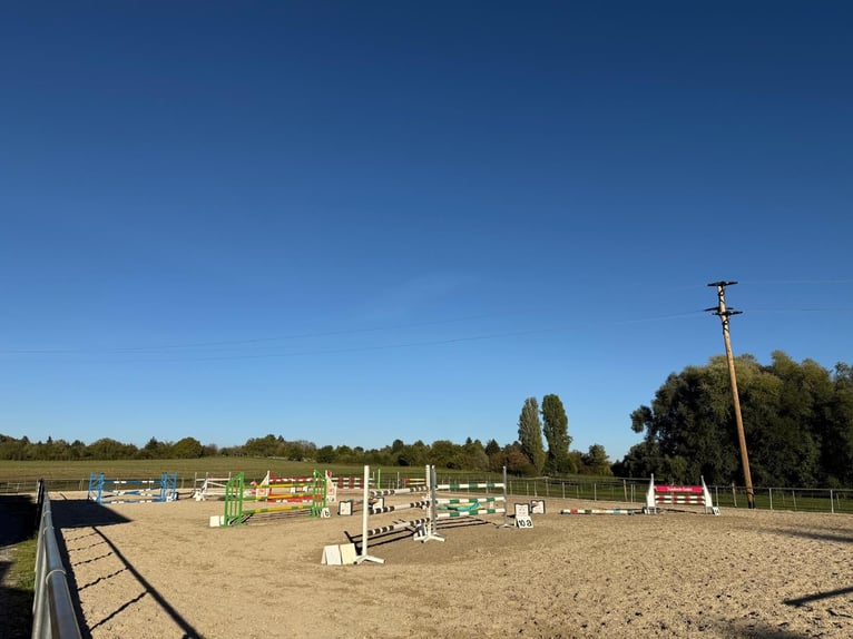 Box individuali e con finestra, vicino alla Svizzera, pensione completa e addestramento, arena coper