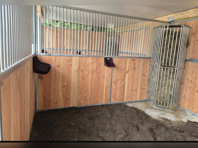 Box singola in paddock