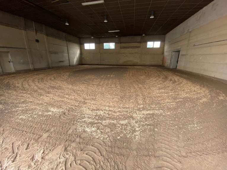 Exklusive Reitanlage, 1h südlich von Berlin, Pensionsstall & Reitstall, Aufzucht