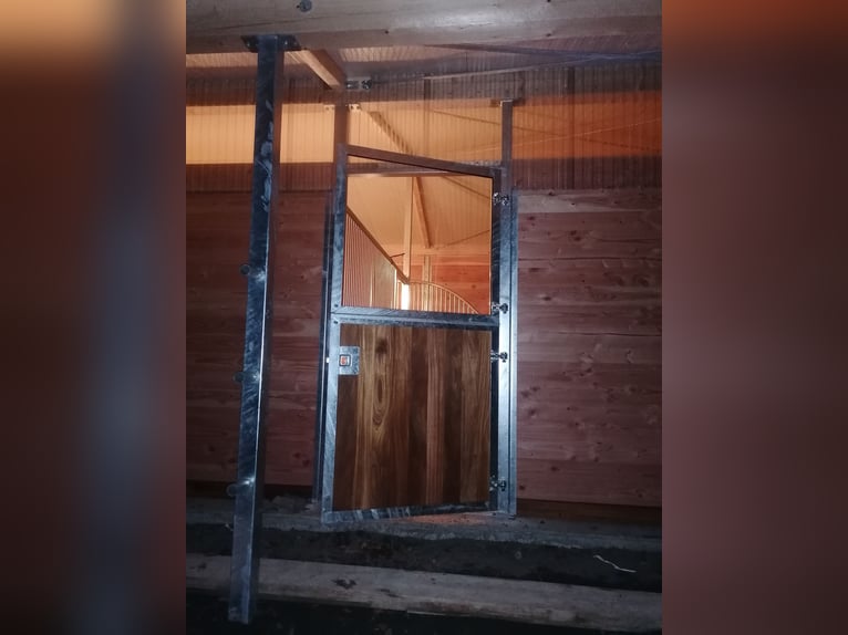 Neu gebaute Auslaufboxen zu vermieten