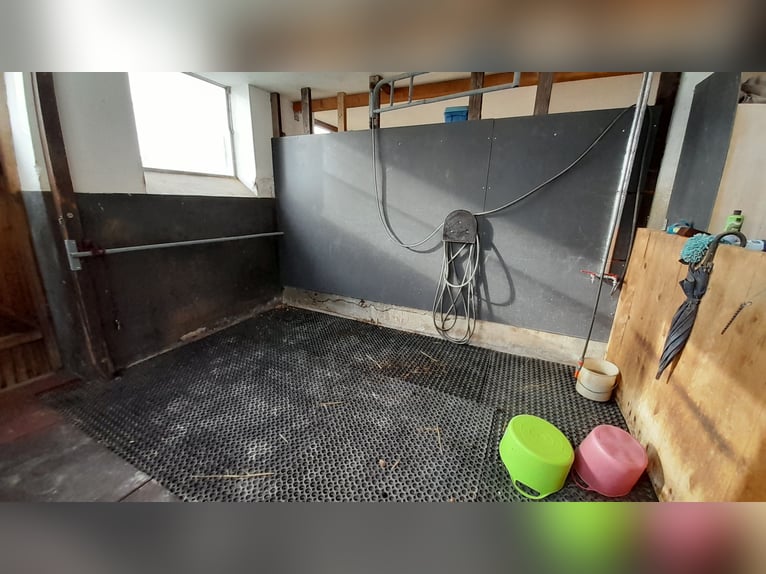 Paddockbox in wunderschöner Lage