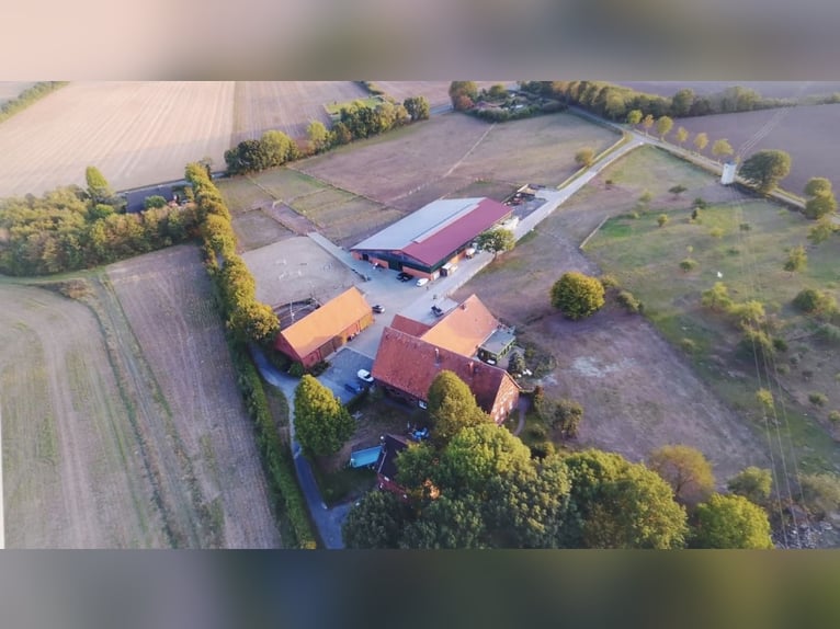 Scuderia privata nella regione del Münsterland