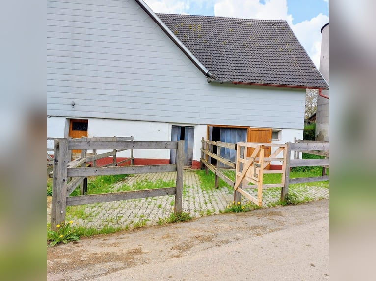 Stallino di paddock con area di sgambatura e pascolo per 1-2 cavalli