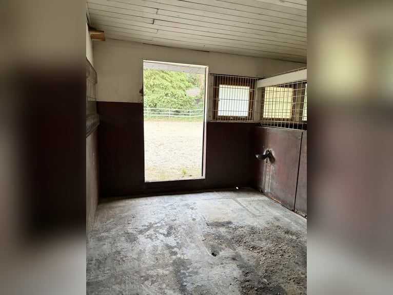 Posto di sella disponibile in piccola scuderia privata
