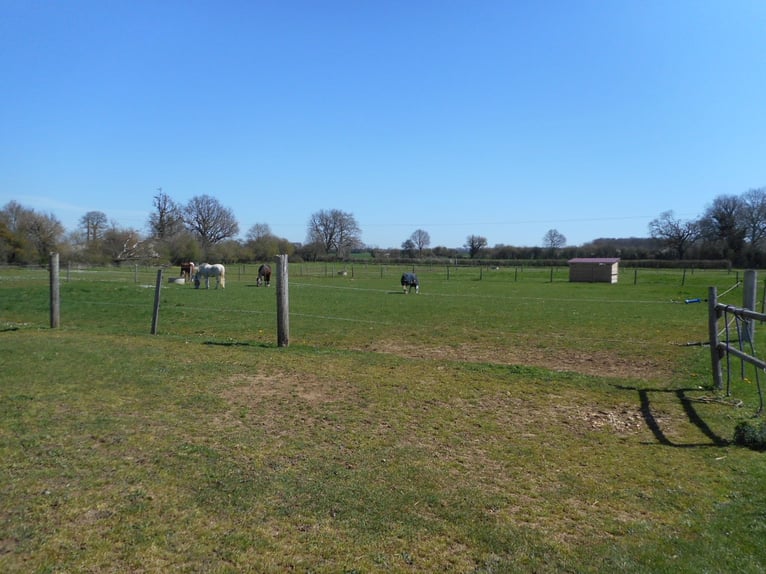 Scuderie di Vernon