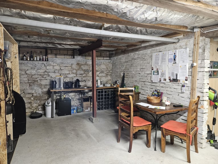 XXL Boxe in 9517 Mettlen